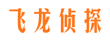 陆川外遇取证